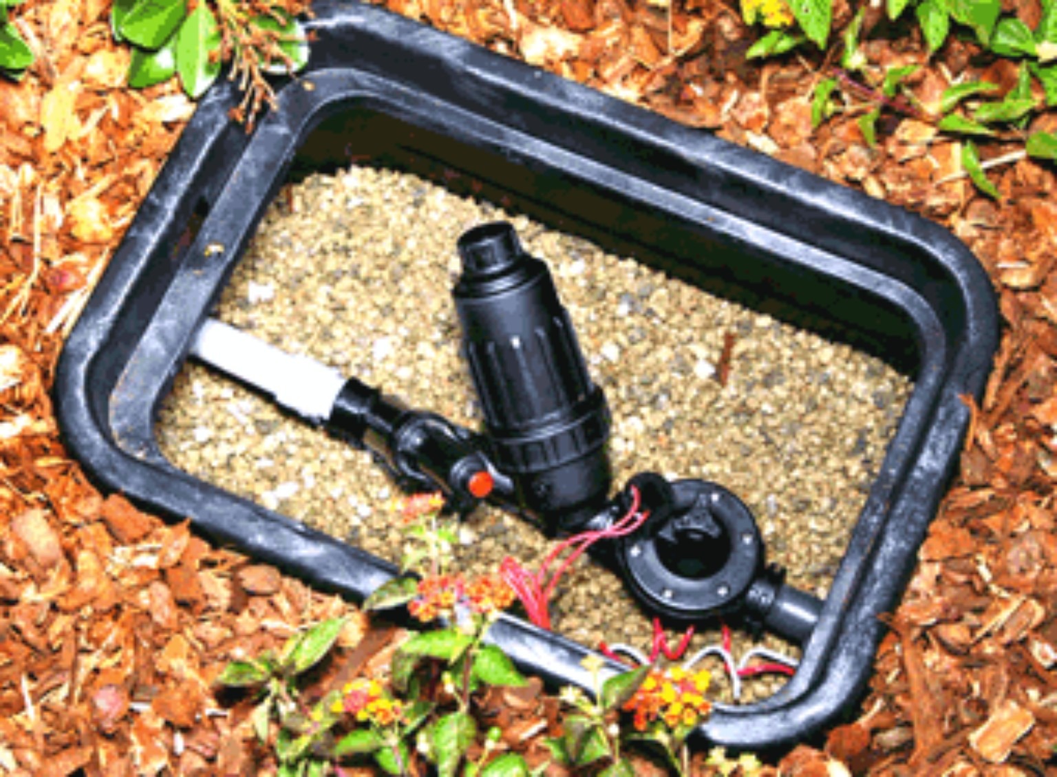 Backflow install