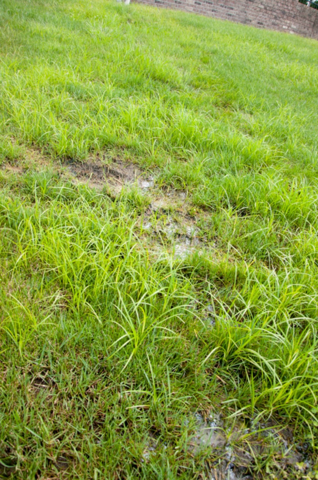 Leak detection