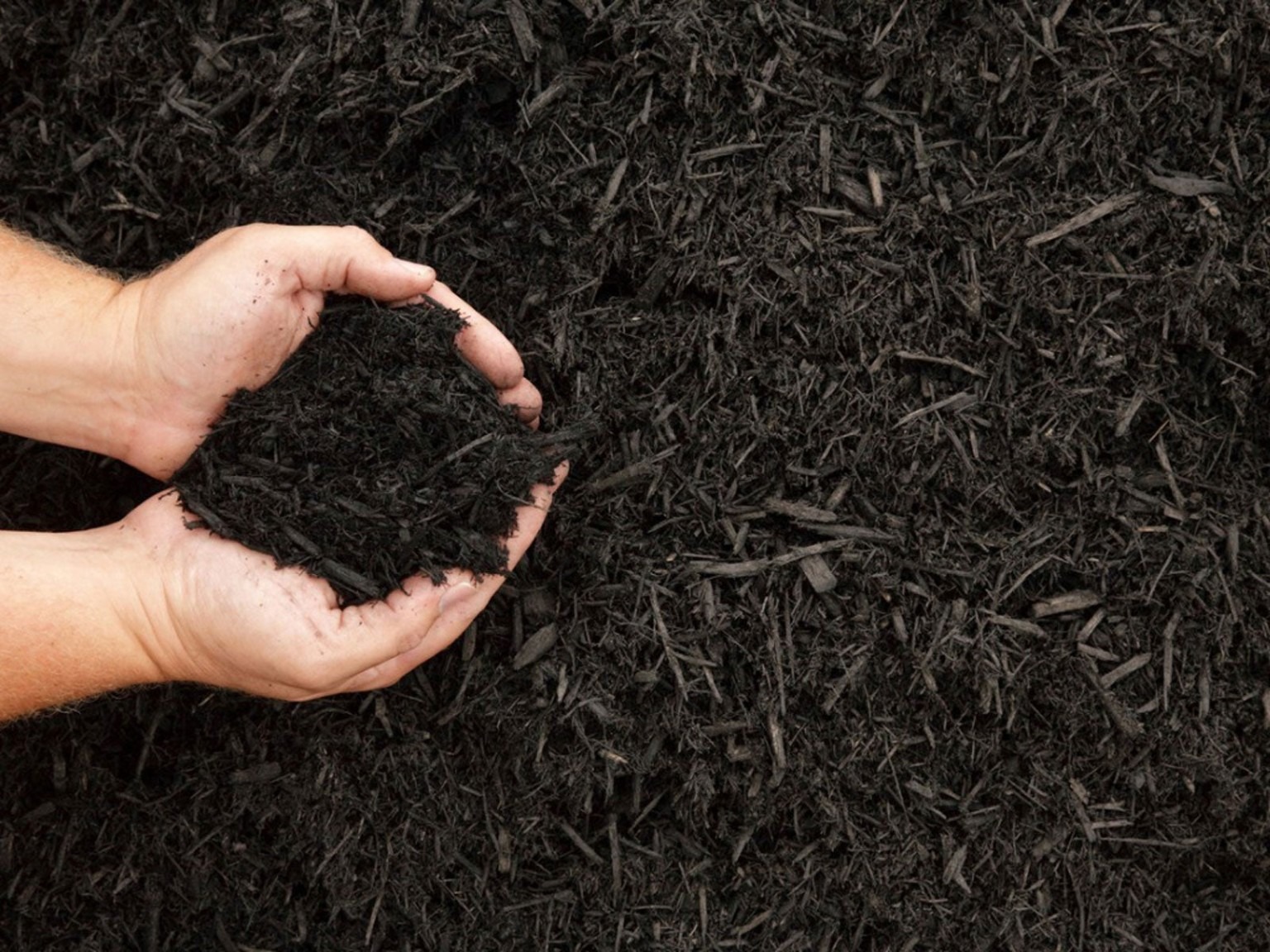 Mulch refresh