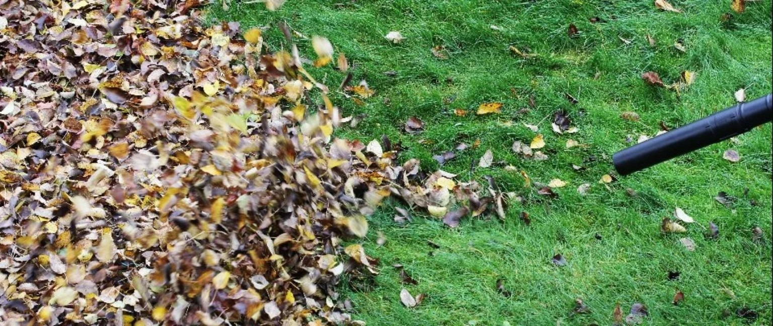 Seasonal cleanup