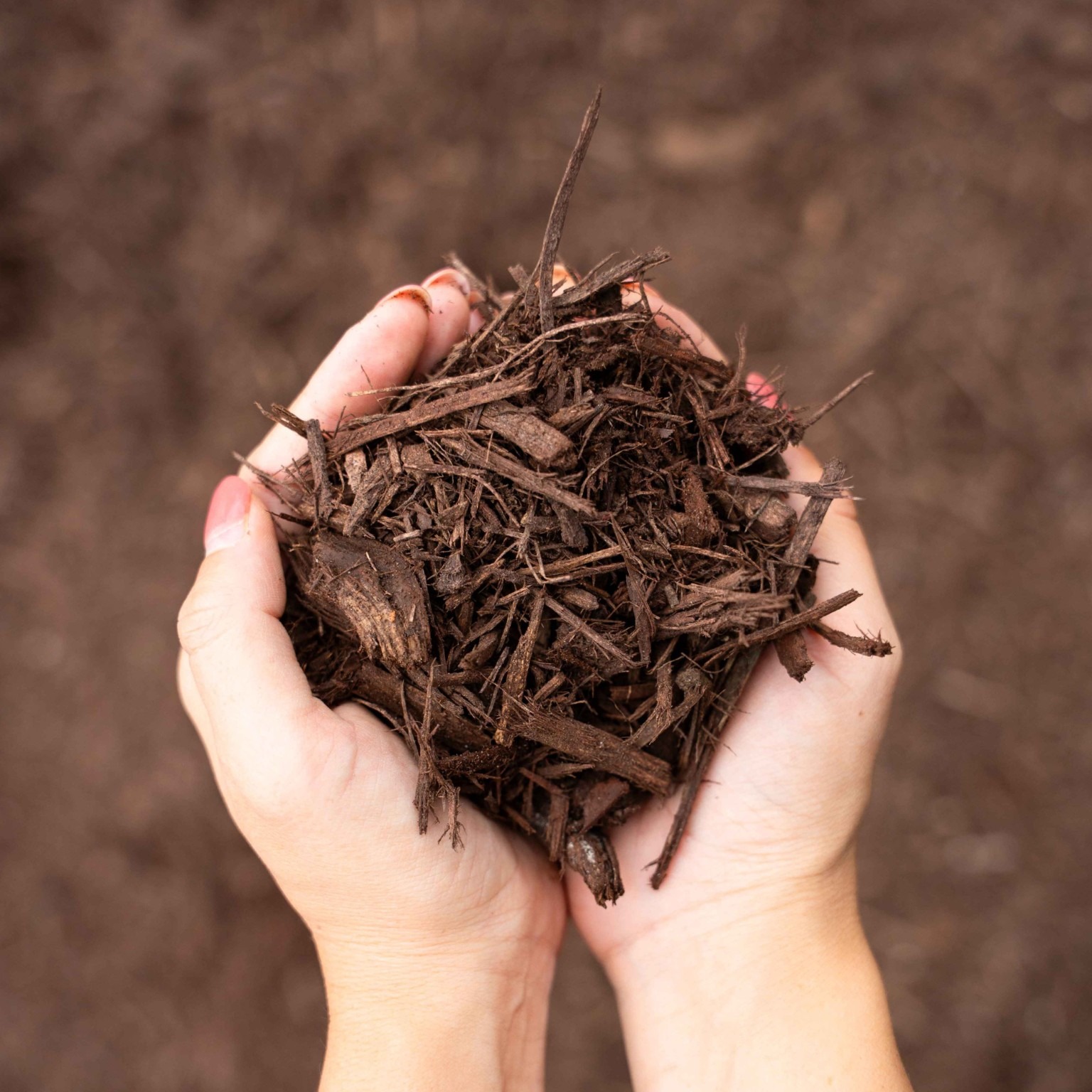 Chocolate Brown Mulch
