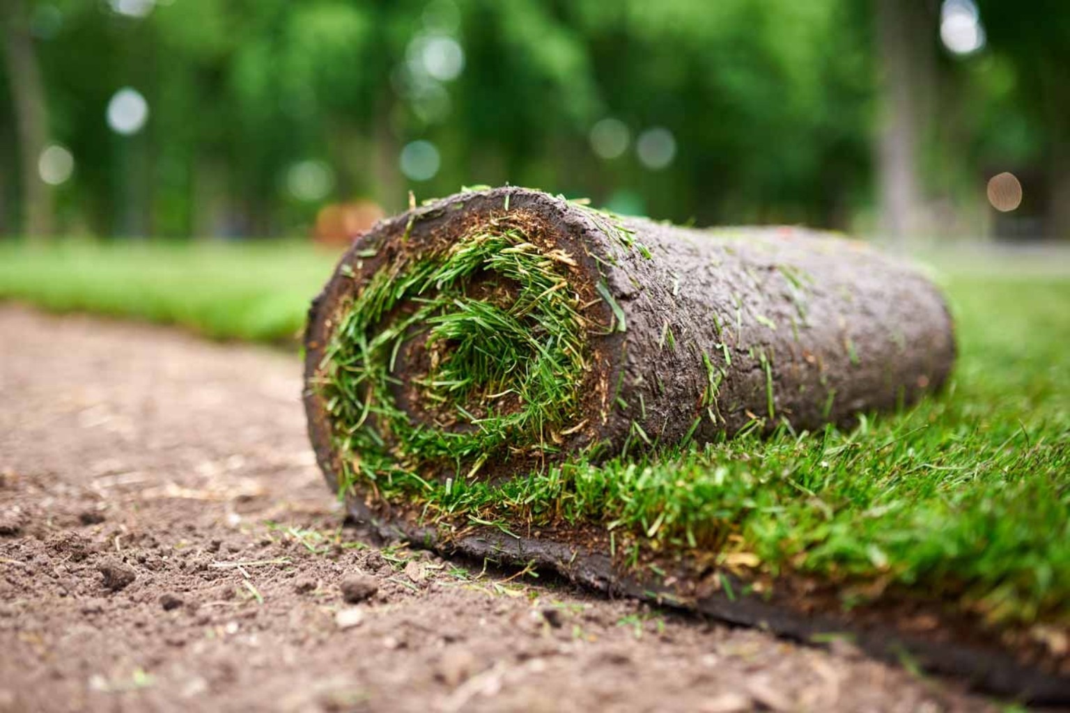 Sod install